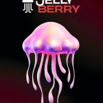 תערובת תה - JELLY BERRY - 50g | טעמים לבחירה