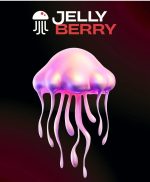 תערובת תה - JELLY BERRY - 50g | טעמים לבחירה