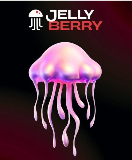 תערובת תה - JELLY BERRY - 50g | טעמים לבחירה